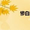 惨白的解释（惨白的意思）