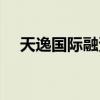 天逸国际融资租赁有限公司（天逸国际）