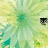 枣疯病图片（枣疯病）