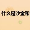什么是沙金和黄金的价钱区别(什么是沙金) 什么是沙金和黄金的价钱区别(什么是沙金)