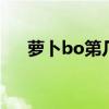 萝卜bo第几声（萝卜的拼音怎么拼写）