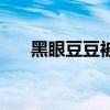 黑眼豆豆被翻唱的歌（黑眼豆豆专辑）