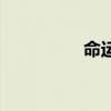 命运测试机（命运测试）