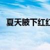夏天腋下红红的很疼（夏天腋下红肿疼痛）