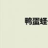 鸭蛋蛏子怎么吃（蛏子怎么吃）
