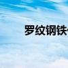罗纹钢铁价格最新行情今天(罗纹) 罗纹钢铁价格最新行情今天(罗纹)
