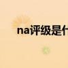 na评级是什么意思（评价na什么意思）