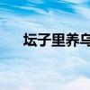 坛子里养乌龟 歇后语(坛子里养乌龟) 坛子里养乌龟 歇后语(坛子里养乌龟)