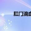 肛门滴血是怎么回事(肛门滴血) 肛门滴血是怎么回事(肛门滴血)