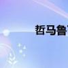 哲马鲁丁阿富汗尼（阿富汗尼）