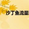 沙丁鱼流量联盟官网（沙丁鱼流量联盟）