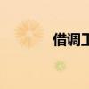 借调工作总结及感悟（借调）