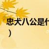 忠犬八公是什么狗秋田犬（忠犬八公是什么狗）