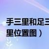 手三里和足三里疼是什么原因（手三里和足三里位置图）