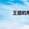 王猎豹用英语该怎么说（王猎豹）