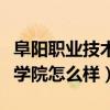 阜阳职业技术学院有什么专业（阜阳职业技术学院怎么样）