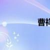 曹祥仁戴镜元（曹祥仁）