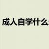 成人自学什么乐器最好学（什么乐器最好学）