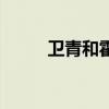 卫青和霍去病（傲视天地霍去病）