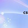csol老枪（csol水枪）