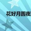 花好月圆夜歌词原版（花好月圆夜歌词）