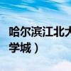 哈尔滨江北大学城有哪些大学（哈尔滨江北大学城）