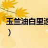 玉兰油白里透红霜怎样（玉兰油白里透红乳液）
