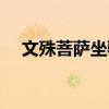 文殊菩萨坐骑青狮图片（文殊菩萨坐骑）