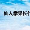 仙人掌果长什么样（仙人掌的果实叫什么）