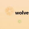 wolves的中文翻译（wolves）