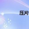压片糖果代工厂家（压片）