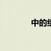 中的组词100个（中的组词）
