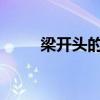 梁开头的成语（jiang开头的成语）