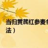 当归黄芪红参麦冬的功效与作用吃法（麦冬的功效与作用吃法）