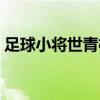 足球小将世青杯在线观看（足球小将世青杯）