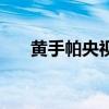 黄手帕央视版国语版（黄手帕央视版）