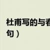 杜甫写的与春天有关的诗句（与春天有关的诗句）