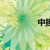 中担是什么意思（中担）