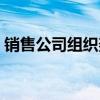 销售公司组织架构模板（销售公司组织架构）