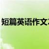 短篇英语作文20字介绍自己（短篇英语作文）