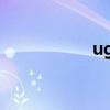 ugg的logo（uggd）