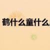 鹤什么童什么成语填空（鹤什么童什么成语）