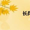 长兵器排行榜（长兵器）