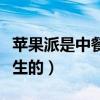 苹果派是中餐吗（苹果派是哪一年在麦当劳诞生的）