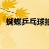 蝴蝶乒乓球拍底板价格表（蝴蝶乒乓球拍）