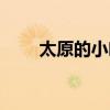 太原的小吃有哪些（太原特色小吃）