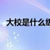 大校是什么级别的军官（大校是什么级别）