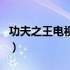 功夫之王电视剧全集吴建飞（功夫之王电视剧）