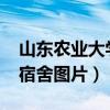 山东农业大学宿舍图片2022（山东农业大学宿舍图片）