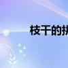 枝干的拼音怎么写(枝干的拼音) 枝干的拼音怎么写(枝干的拼音)